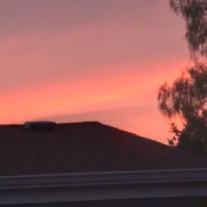 Meet your Posher, Liz